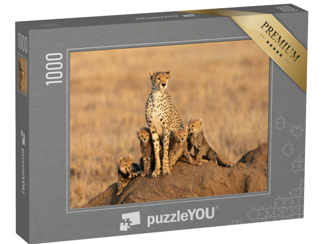 Puzzle 1000 Teile „Gepardenweibchen mit vier Jungtieren“