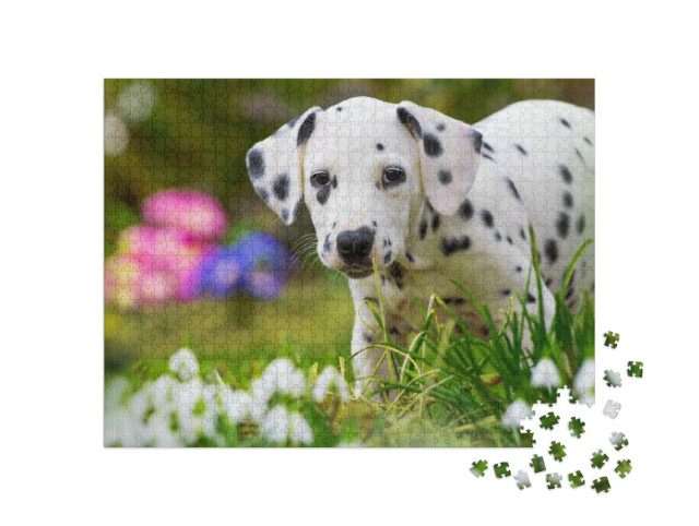 Puzzle 1000 Teile „Dalmatinerwelpe mit Frühlingsblumen“