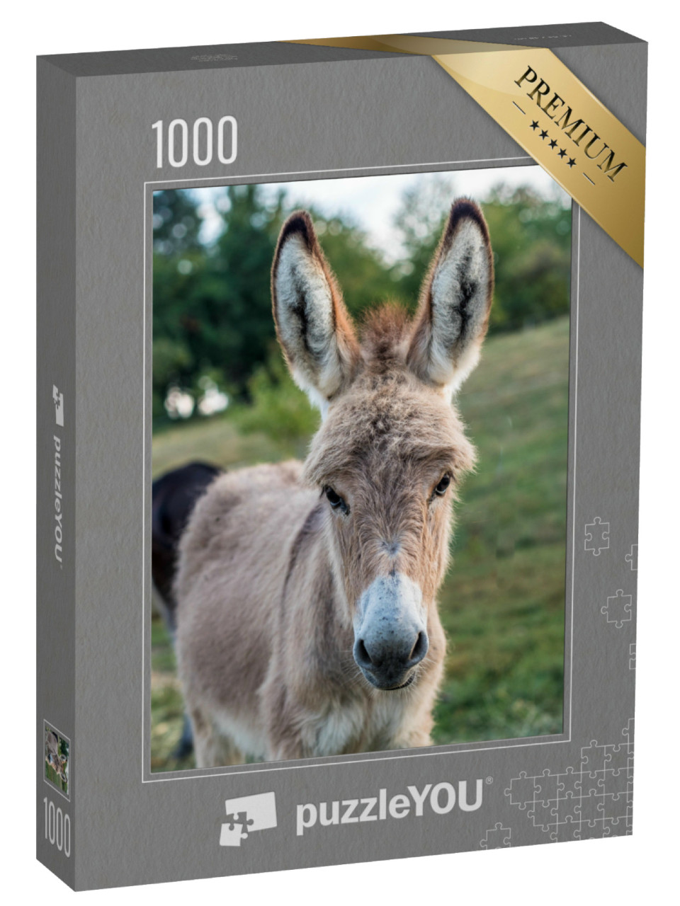 Puzzle 1000 Teile „Junge Esel auf der Weide“