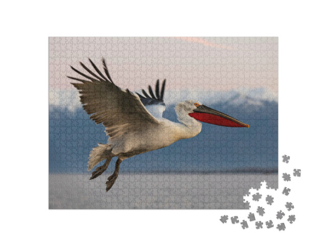Puzzle 1000 Teile „Krauskopfpelikan im Flug über dem Kerkini-See, Griechenland“