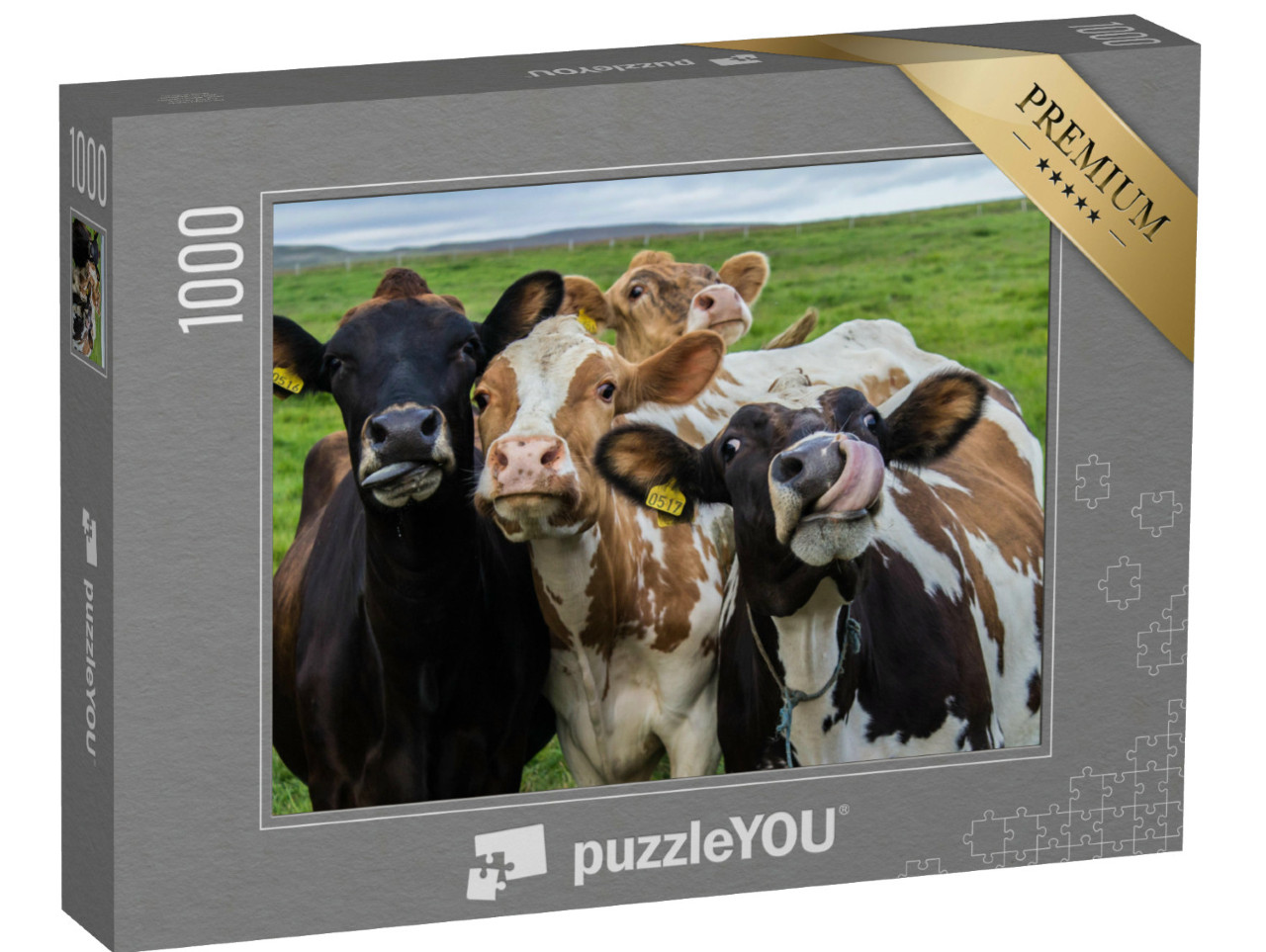 Puzzle 1000 Teile „Vier lustige Kühe schauen in die Kamera“