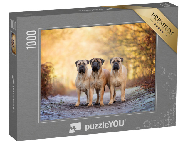 Puzzle 1000 Teile „Drei Bullenmastiffs an einem frostigen Morgen“