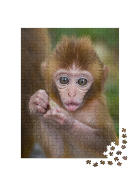 Puzzle 1000 Teile „Affenbaby beim Essen im Wald“