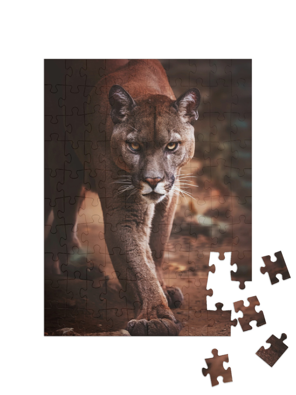 Puzzle 100 Teile „Ein Puma schleicht sich an“