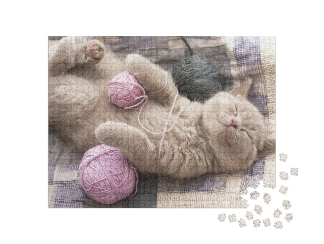 Puzzle 1000 Teile „Schlafendes lilac Kätzchen, niedlich“