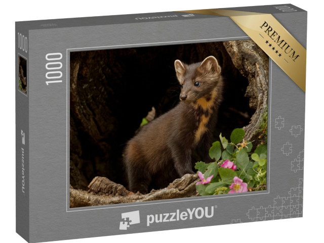 Puzzle 1000 Teile „Kiefernmarder in Montana, USA“