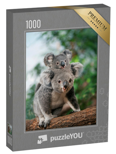 Puzzle 1000 Teile „Koala-Weibchen mit Jungtier auf dem Rücken“
