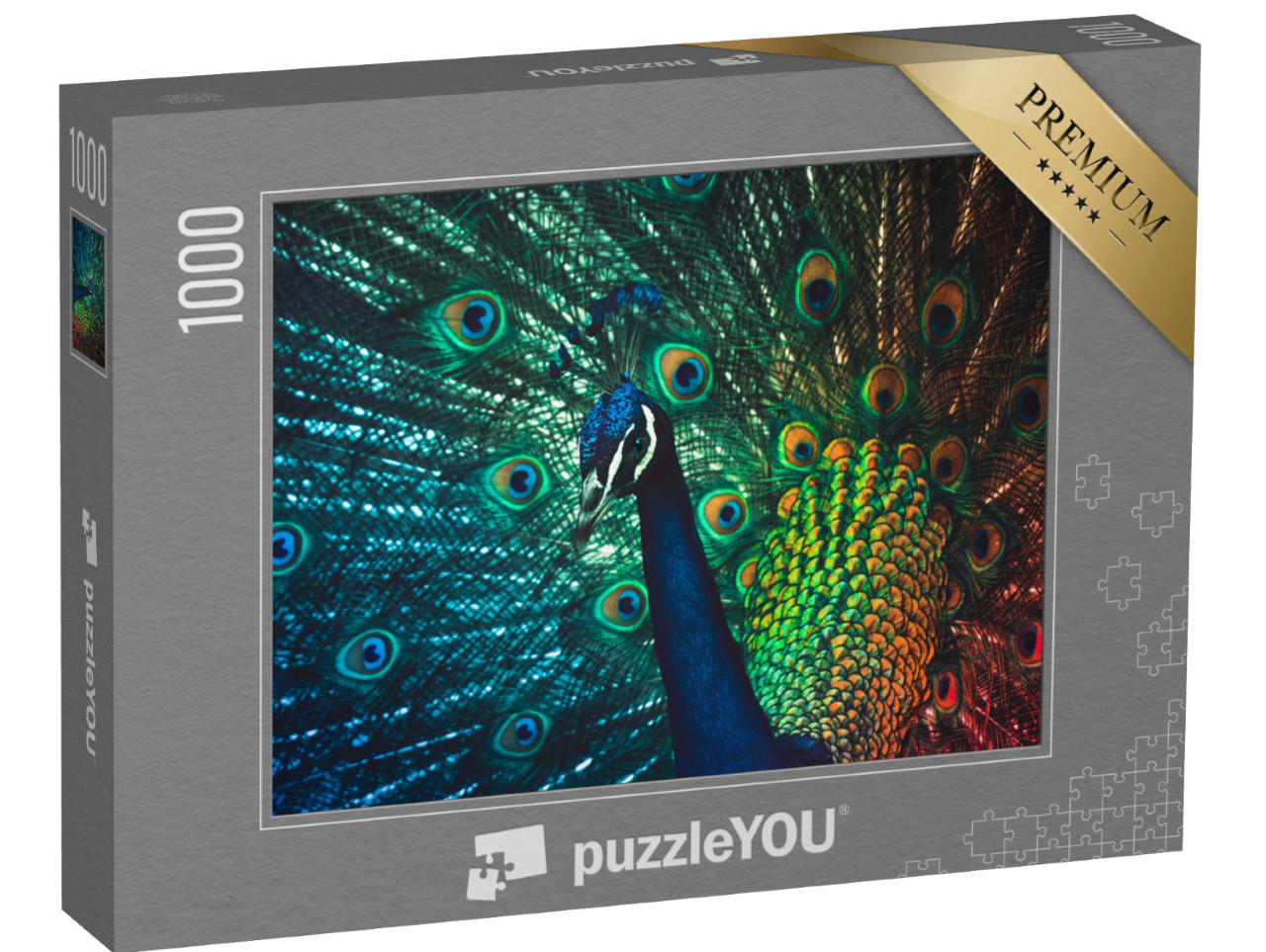 Puzzle 1000 Teile „Männlicher Pfau, Los Angleles Arboretum“