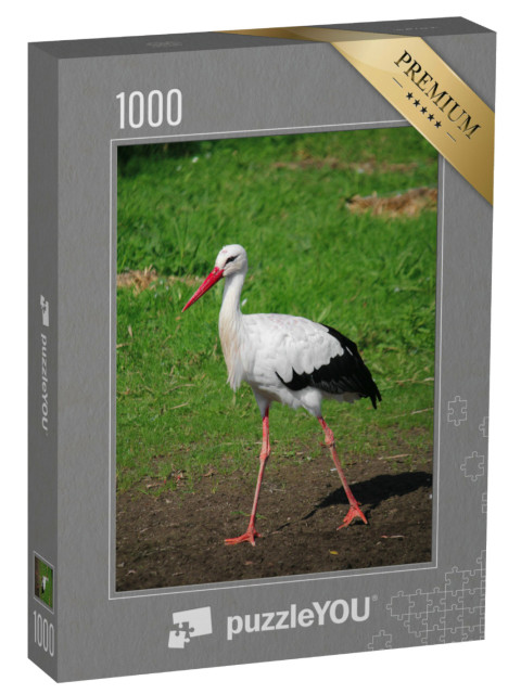 Puzzle 1000 Teile „Kleiner Storch stolziert durch den Garten“