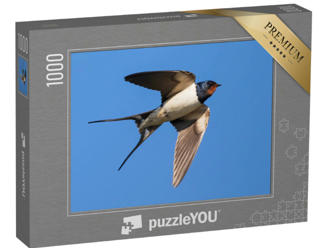 Puzzle 1000 Teile „Porträt einer fliegenden Rauchschwalbe“