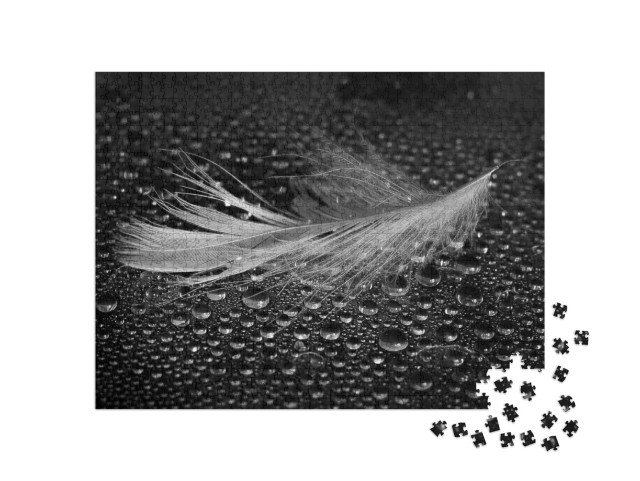 Puzzle 1000 Teile „Leichte Feder inmitten von Wassertropfen, schwarz-weiß“