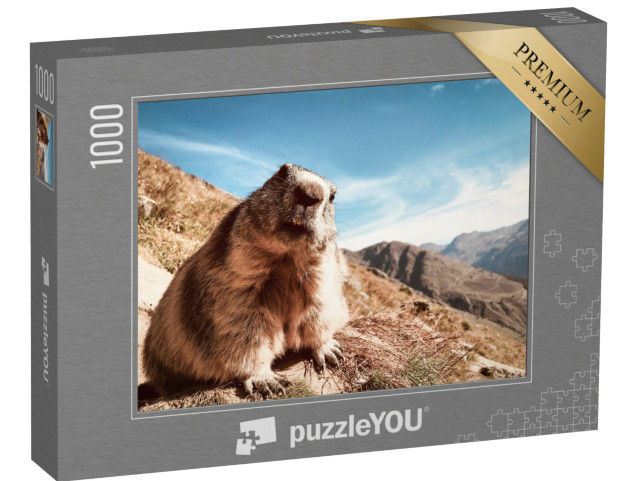 Puzzle 1000 Teile „Murmeltier mit fragendem Blick“