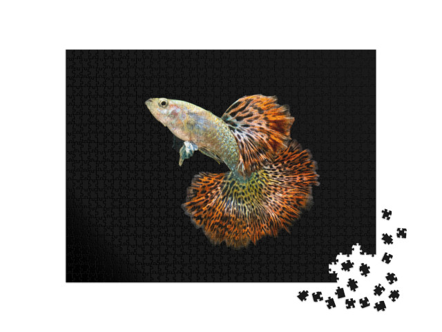 Puzzle 1000 Teile „Roter Drache: Der Guppy Fisch“