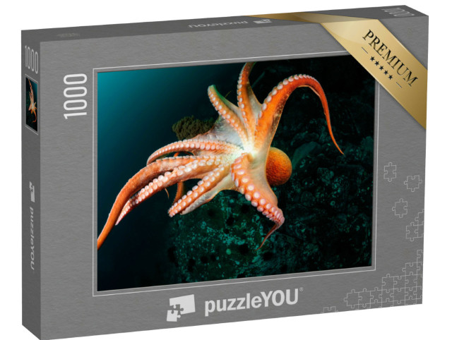Puzzle 1000 Teile „Flug eines Riesenkraken in der Tiefsee, Japanisches Meer, Ostmeer“