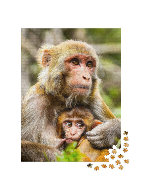 Puzzle 1000 Teile „Affenmutter mit Baby, Portrait“