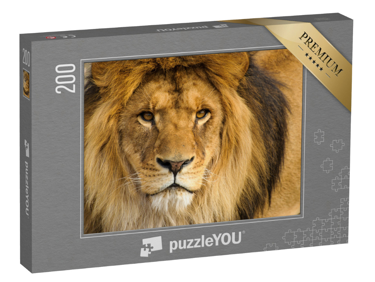 Puzzle 200 Teile „Portrait eines männlichen Löwen“