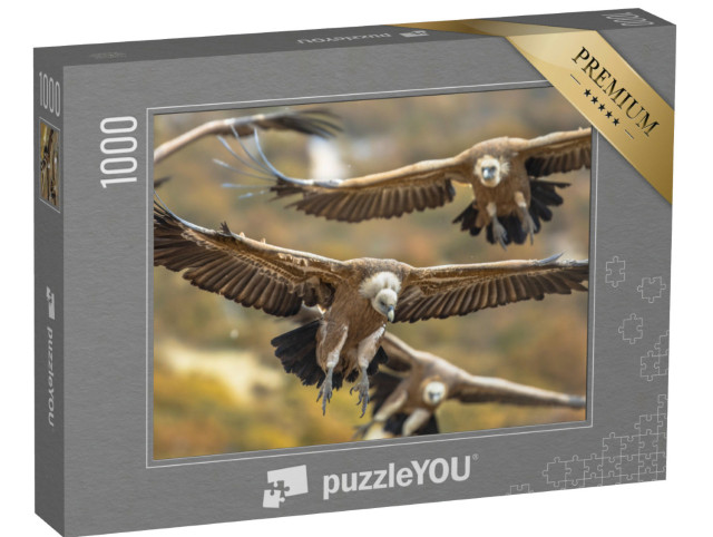 Puzzle 1000 Teile „Fliegende Gänsegeier in den spanischen Pyrenäen“