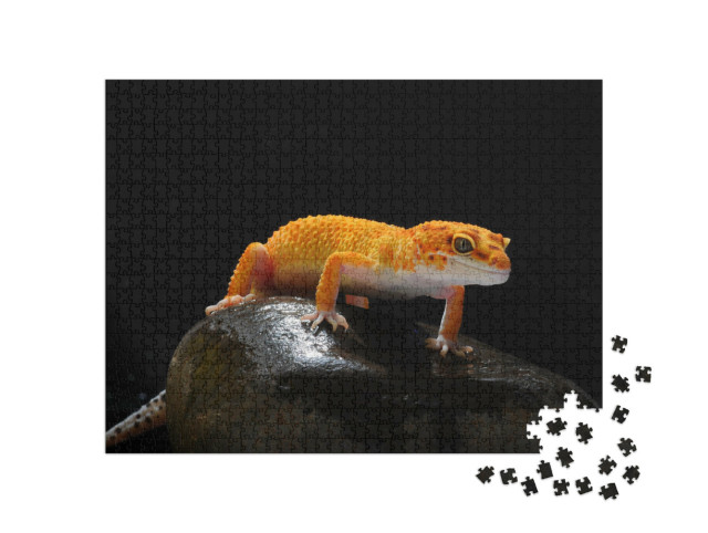 Puzzle 1000 Teile „Gecko, Eidechse, Leopard-Eidechsengecko“