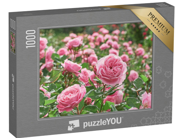 Puzzle 1000 Teile „Ein Meer von rosa Rosen“