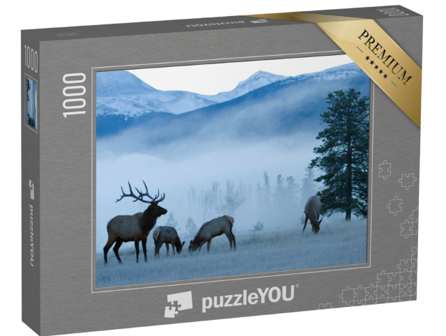 Puzzle 1000 Teile „Frostiger Morgen: Elchbulle und Kühe, Rocky Mountains“