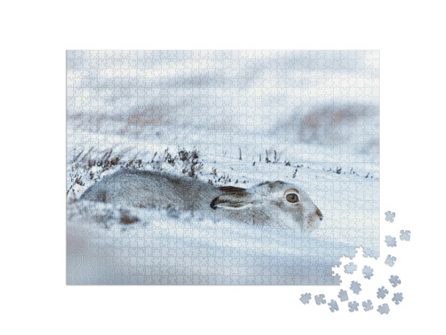 Puzzle 1000 Teile „Ein im Schnee liegender Schneehase“