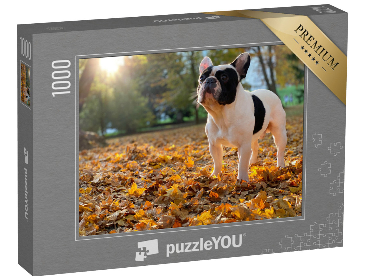 Puzzle 1000 Teile „Nette schwarz-weiße französische Bulldogge sitzt“