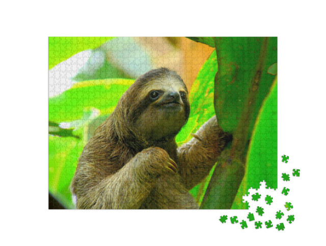Puzzle 1000 Teile „Faultier in Puerto Viejo, Costa Rica“