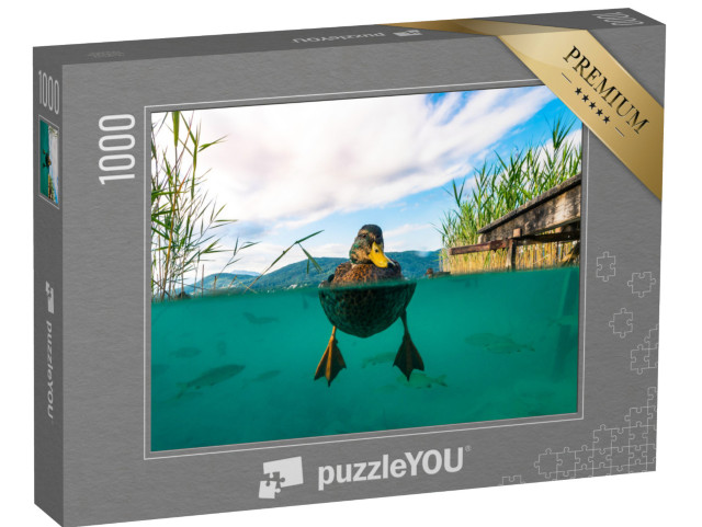 Puzzle 1000 Teile „Unterwasserbild einer Ente und mit einigen Fischen in einem See, Österreich“