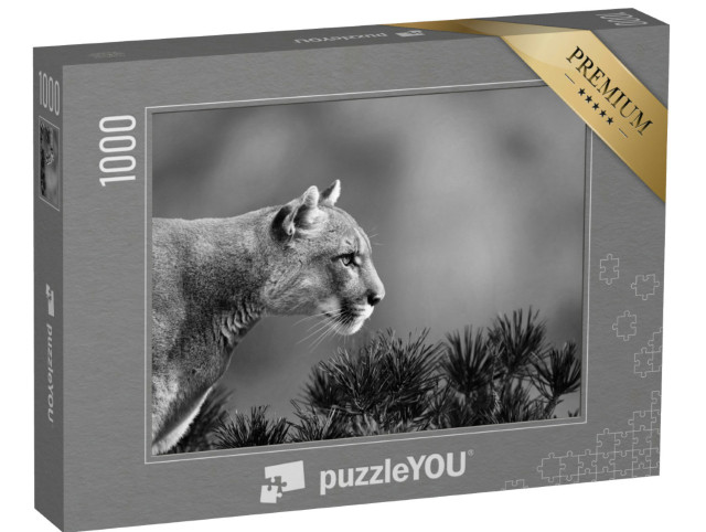 Puzzle 1000 Teile „Seitenportrait eines Pumas, schwarz-weiß“