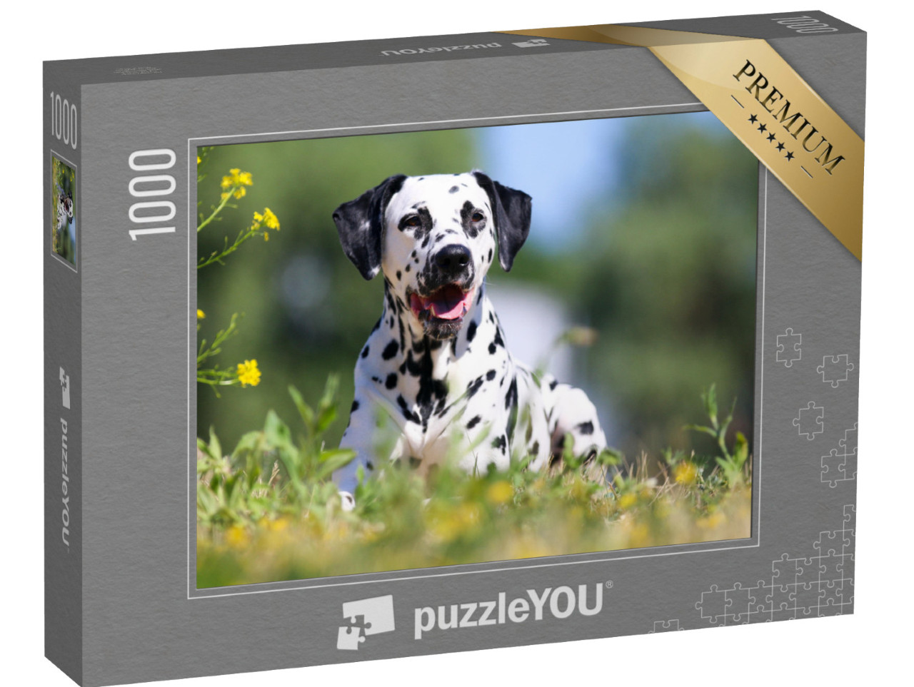 Puzzle 1000 Teile „Dalmatiner: sommerliches Bild des Hundes“