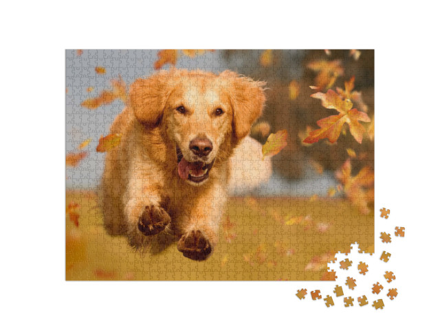 Puzzle 1000 Teile „Golden Retriever beim Toben durch Herbstlaub“