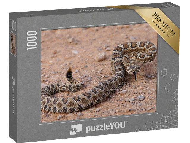 Puzzle 1000 Teile „Gefährliche Klapperschlange, zusammengerollt und zum Angriff bereit“