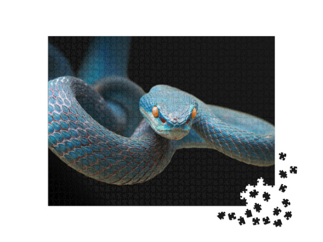 Puzzle 1000 Teile „Blaue Viper: Schlange auf Zweig bereit, Beute anzugreifen“