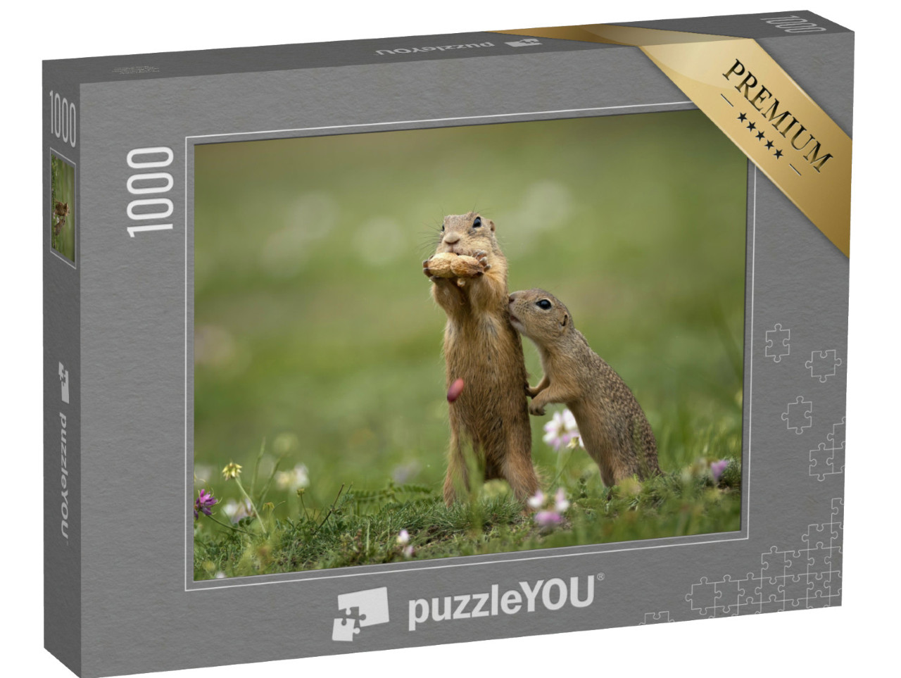 Puzzle 1000 Teile „Erdhörnchen in der Nähe auf einer Sommerwiese mit Gras“