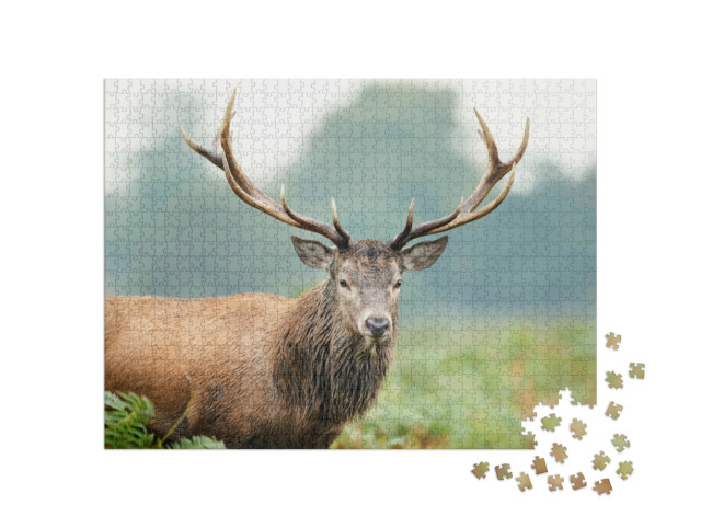 Puzzle 1000 Teile „Nahaufnahme eines Rothirsches“