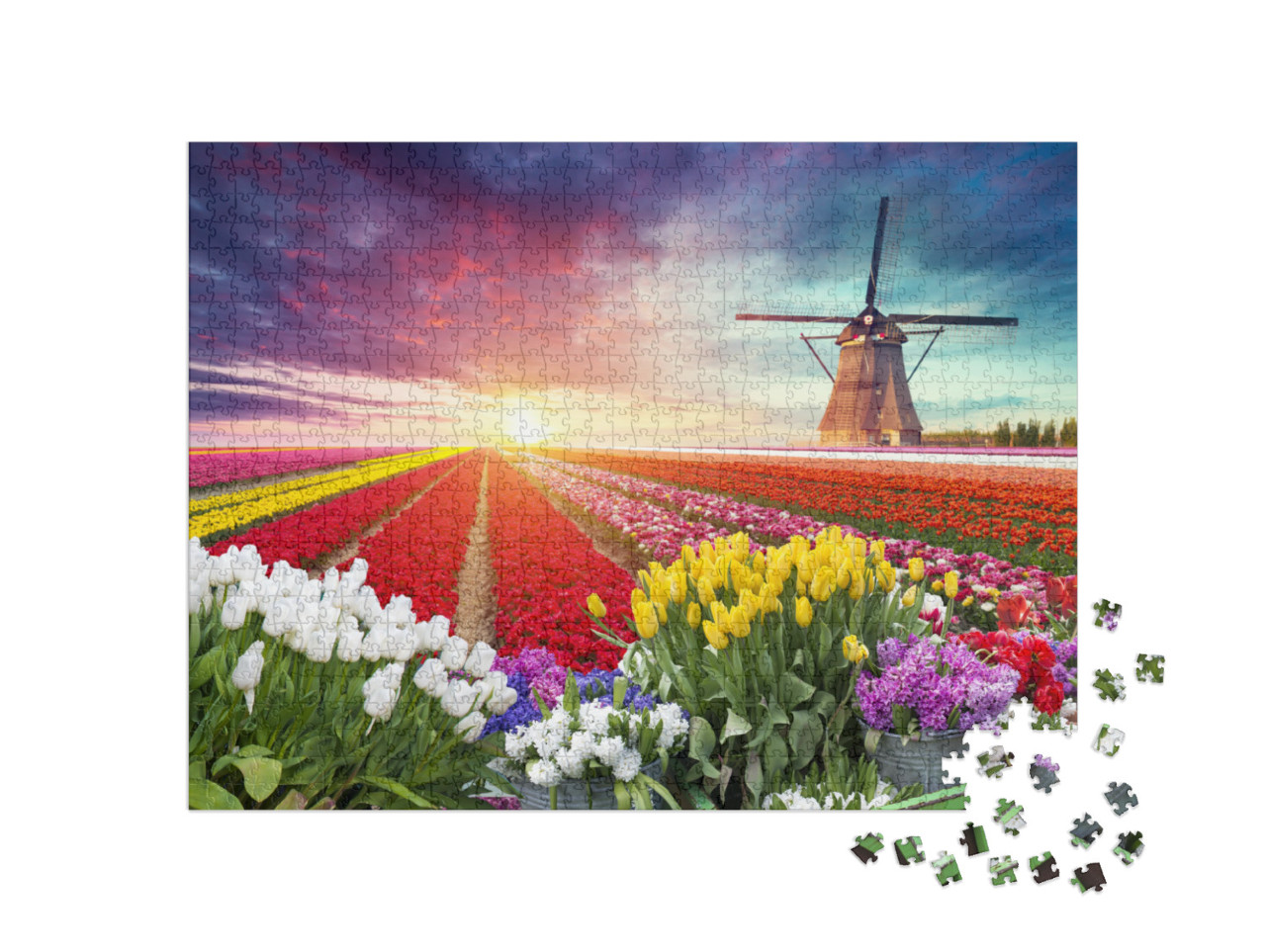 Puzzle 1000 Teile „Landschaft mit Tulpen und Windmühle, Niederlande“