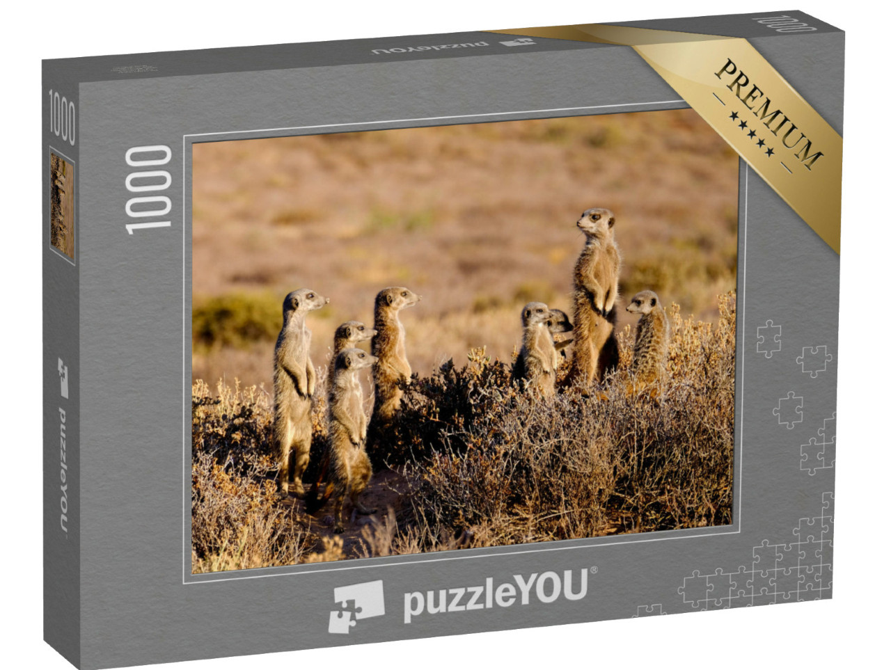 Puzzle 1000 Teile „Eine niedliche Erdmännchen-Familie am frühen Morgen“