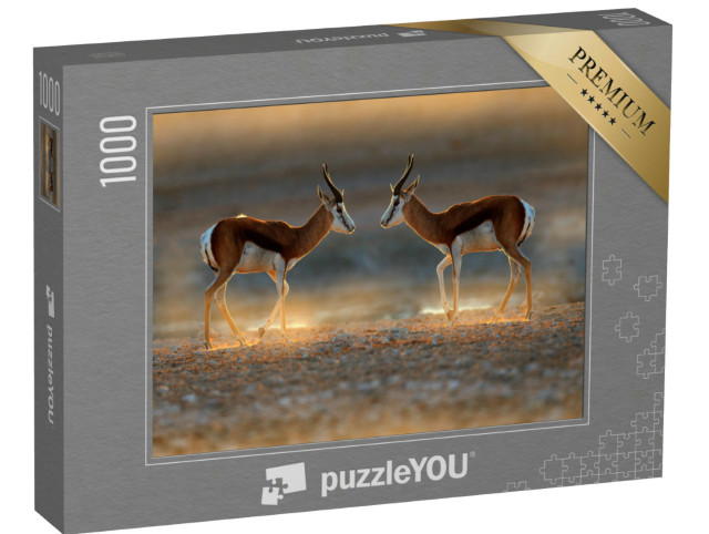 Puzzle 1000 Teile „Springbockantilope bei Sonnenuntergang auf Safari, Namibia“
