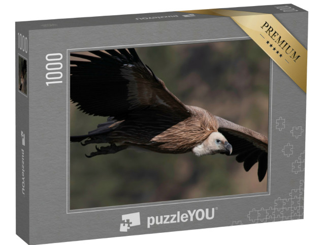 Puzzle 1000 Teile „Gänsegeier im Flug“