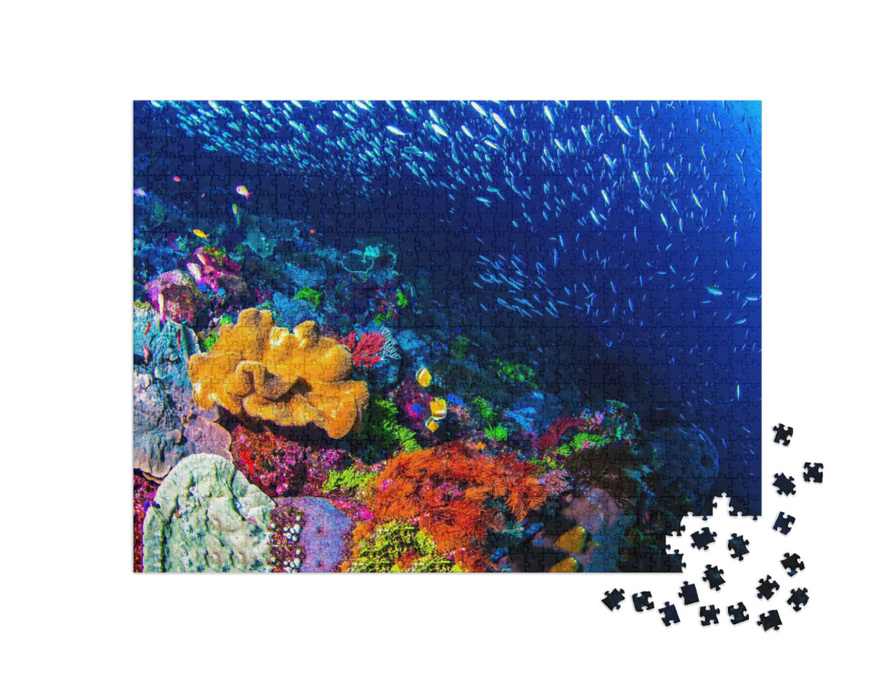 Puzzle 1000 Teile „Atemberaubendes buntes Korallenriff, schöne Unterwasserlandschaft“