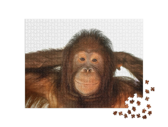 Puzzle 1000 Teile „Niedlicher Orang-Utan“