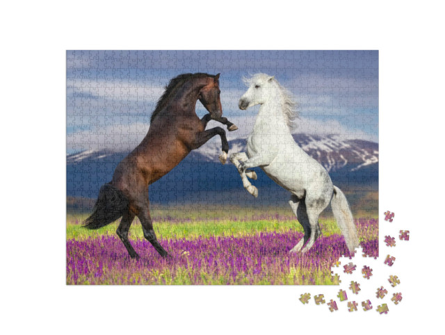 Puzzle 1000 Teile „Wilde Schönheit: Zwei tanzende Pferde“