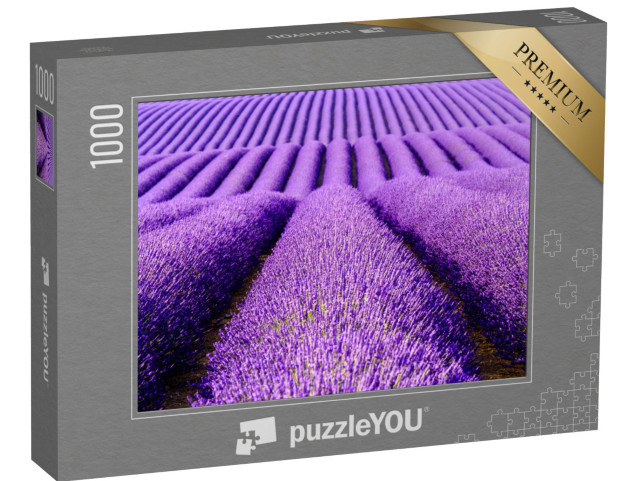 Puzzle 1000 Teile „Lavendelblüten auf der Hochebene von Valensole, Provence, Frankreich“