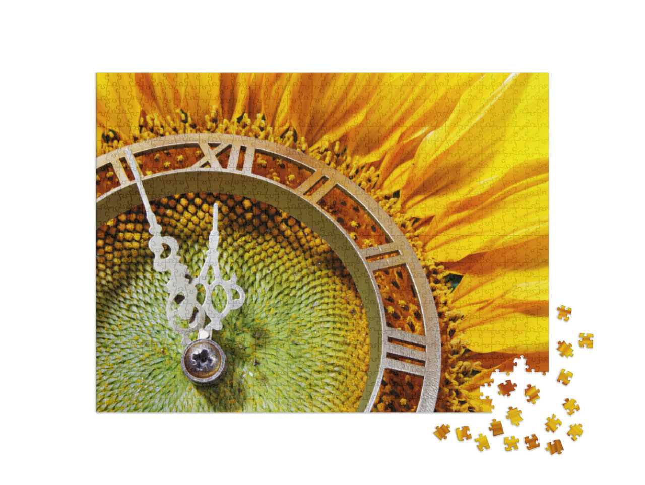 Puzzle 1000 Teile „Sonnenblumen-Uhr als Metapher für das Herannahen der Mittagszeit“
