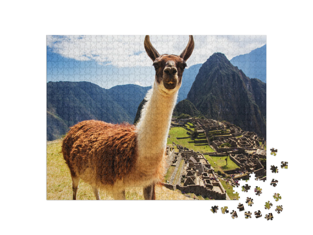 Puzzle 1000 Teile „Lama, im Hintergrund die Inka-Ruinen am Machu Picchu, Peru“