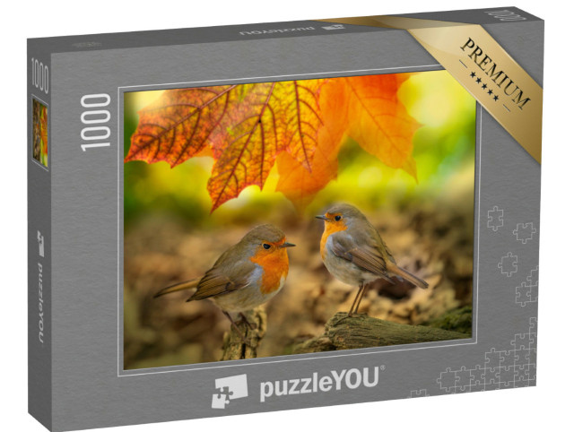 Puzzle 1000 Teile „Zwei Rotkehlchen im Herbstwald“