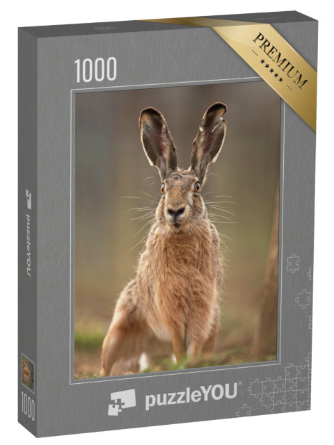 Puzzle 1000 Teile „Europäischer Feldhase“