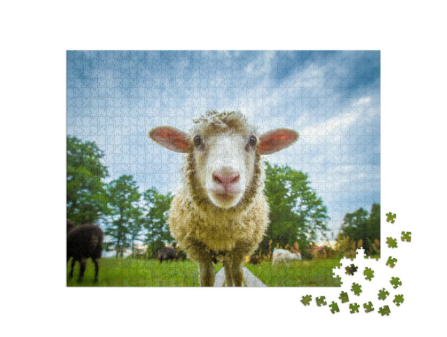 Puzzle 1000 Teile „Auge in Auge mit einem Schaf“