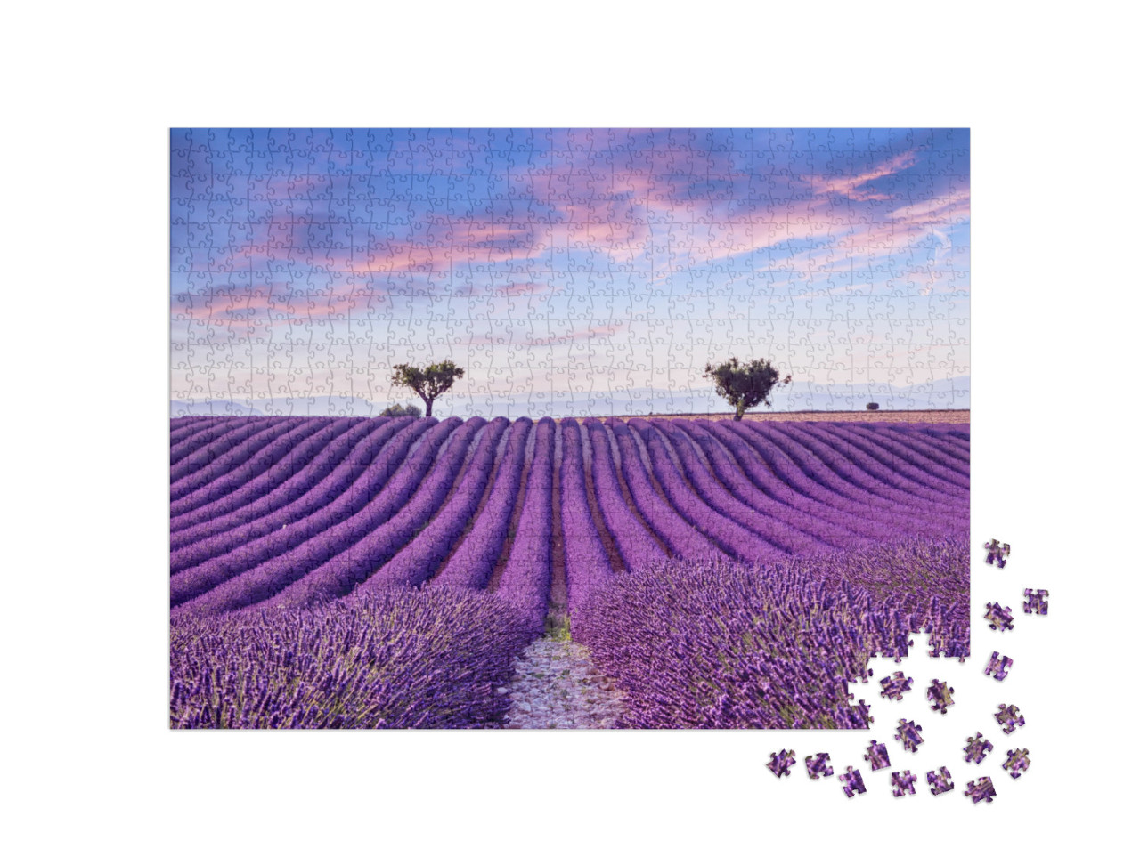 Puzzle 1000 Teile „Lavendelfeld im Sommer, Frankreich, Provence“