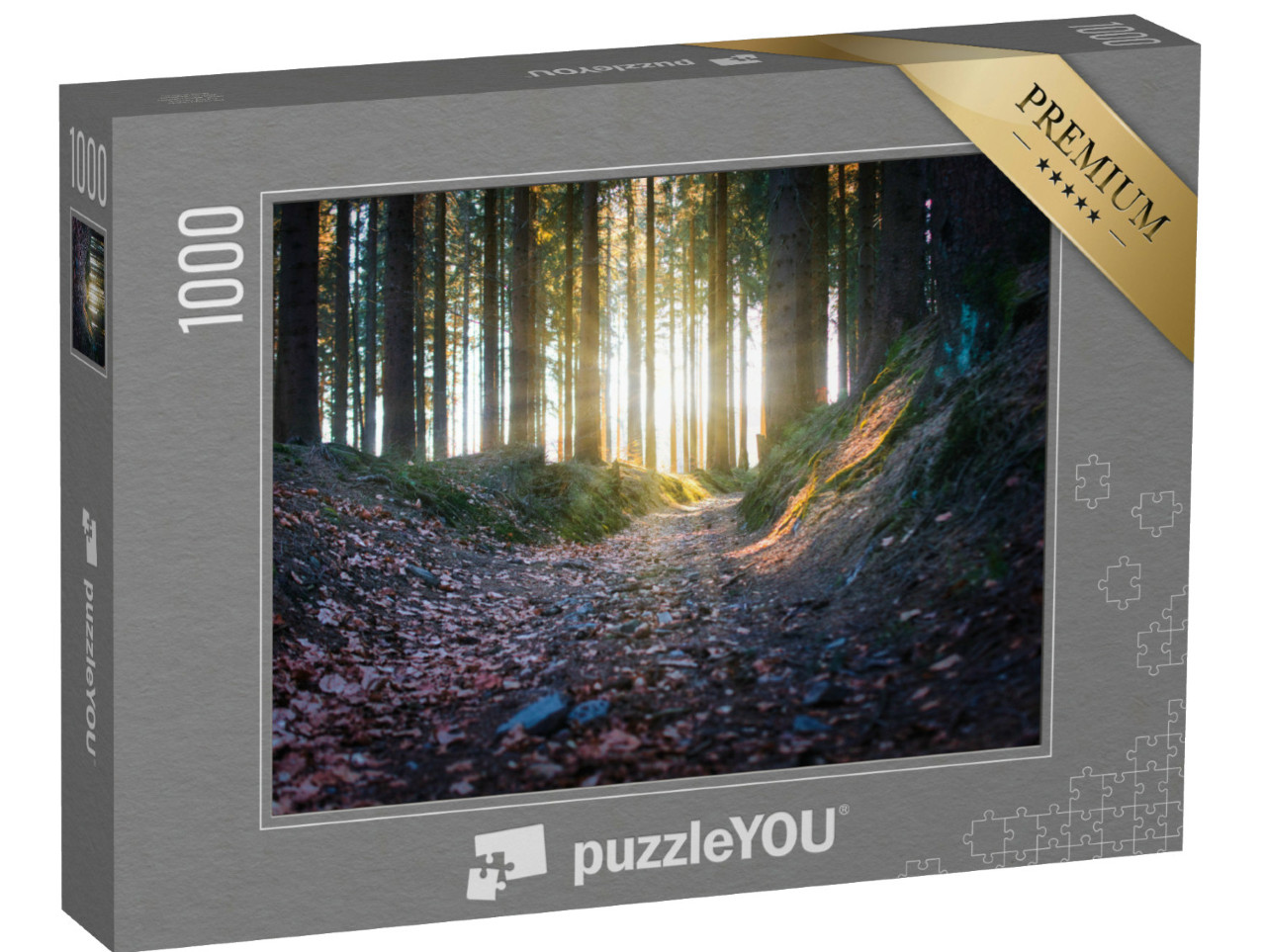 Puzzle 1000 Teile „Sonnenstrahlen im Wald, Rennsteig“